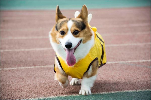 换身衣服接着美