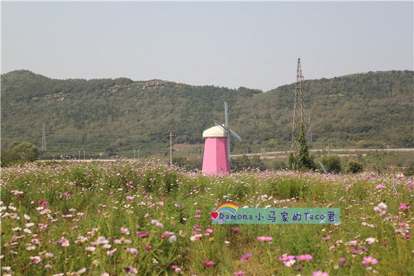 铭湖牧场