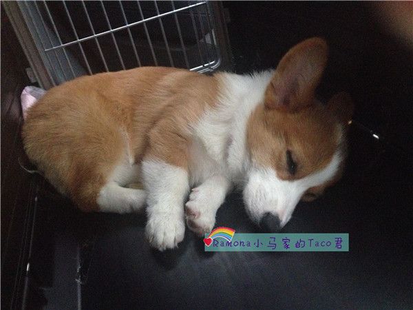 回家途中