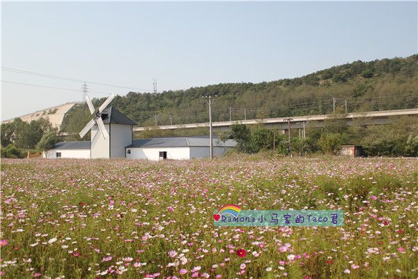 铭湖牧场