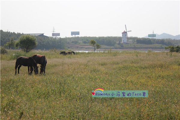 铭湖牧场