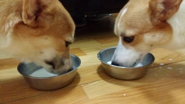 20140929_194808.jpg
