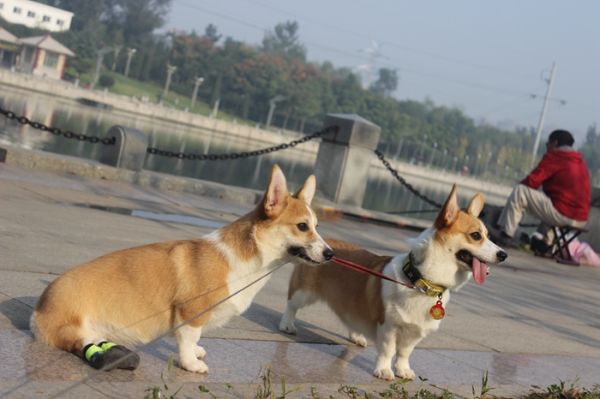 照片 181.jpg