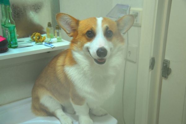 DSC_2391.jpg