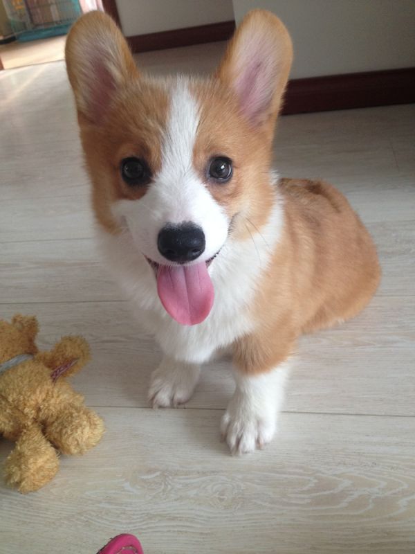 照好了没？现在可以开饭了吗？