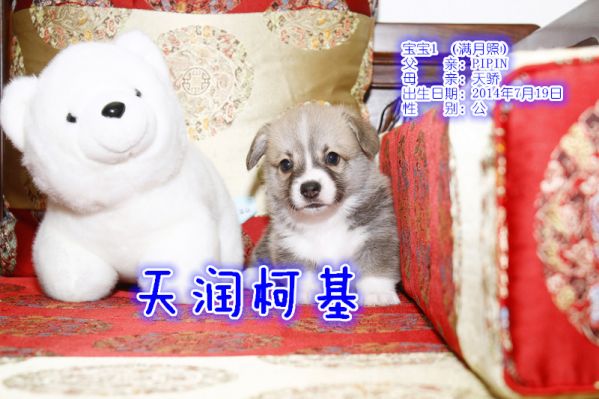 1公.jpg