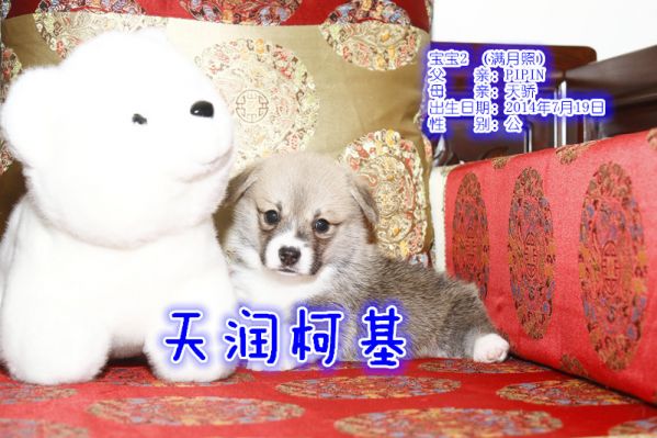 2公.jpg
