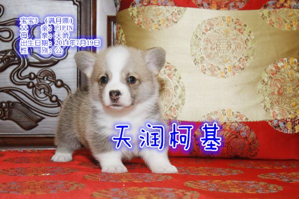 3公.jpg