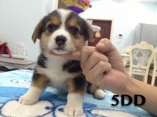 5dd满月.JPG