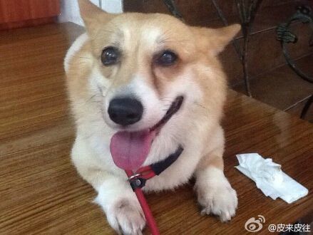 QQ截图20140827104931.jpg