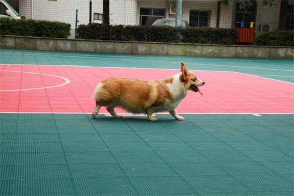 3拷贝.jpg