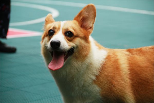 2拷贝.jpg