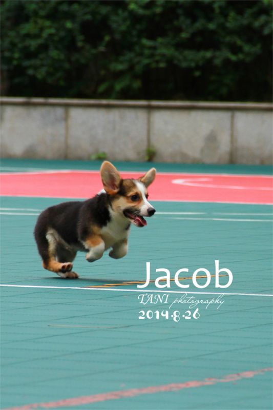 1拷贝.jpg
