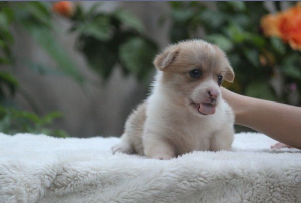 3母。，.jpg