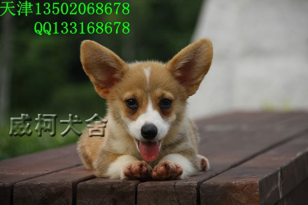 克鲁尼孙女.JPG