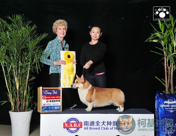 爸爸.jpg