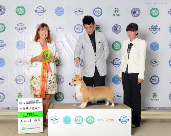 QQ图片20140909220654.jpg