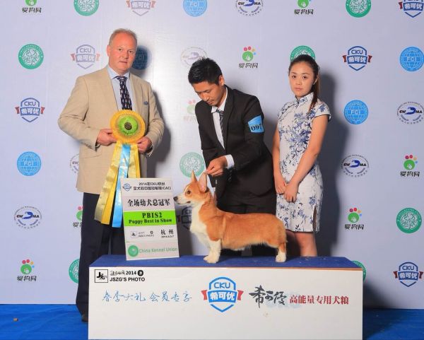 QQ图片20140727091819.jpg