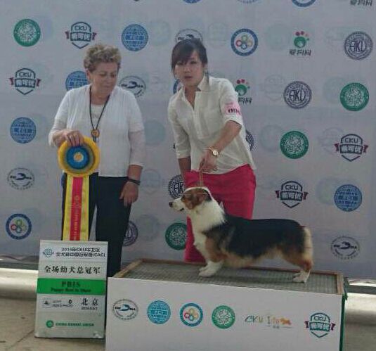 QQ截图20140909223435.jpg