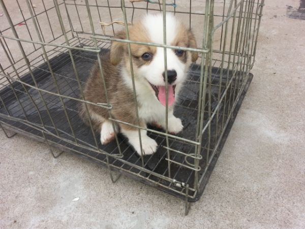 7dd已售