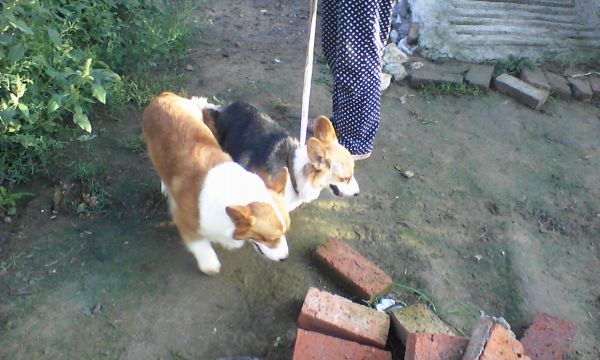 IMG_20140909_063258.jpg
