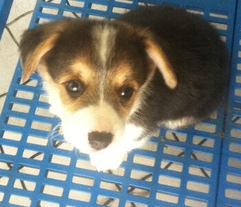 $8@S%L~(O@R84P[TOOD7I52.jpg