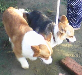 {QB@TS~%J7FBS9`[MG[WNFR.jpg