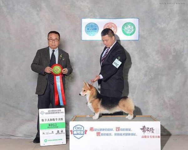 QQ图片20141104195234.jpg