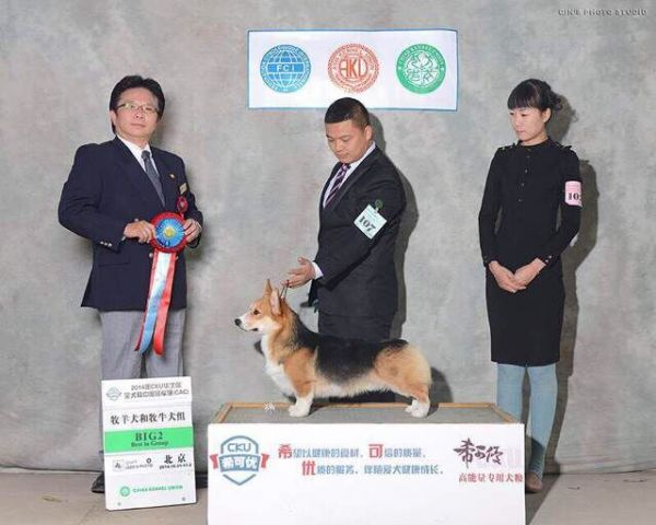 QQ图片20141104195240.jpg