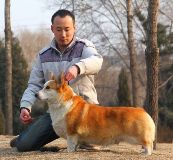 QQ图片20140512211258_副本_副本.jpg