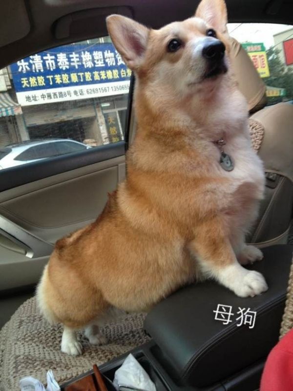 QQ图片20141119204137.jpg