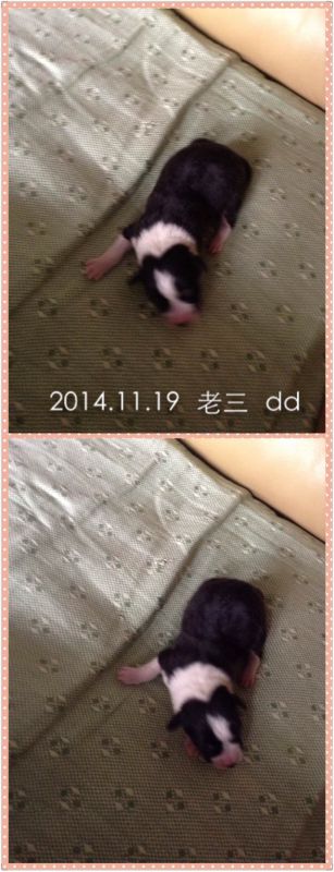 老三.JPG