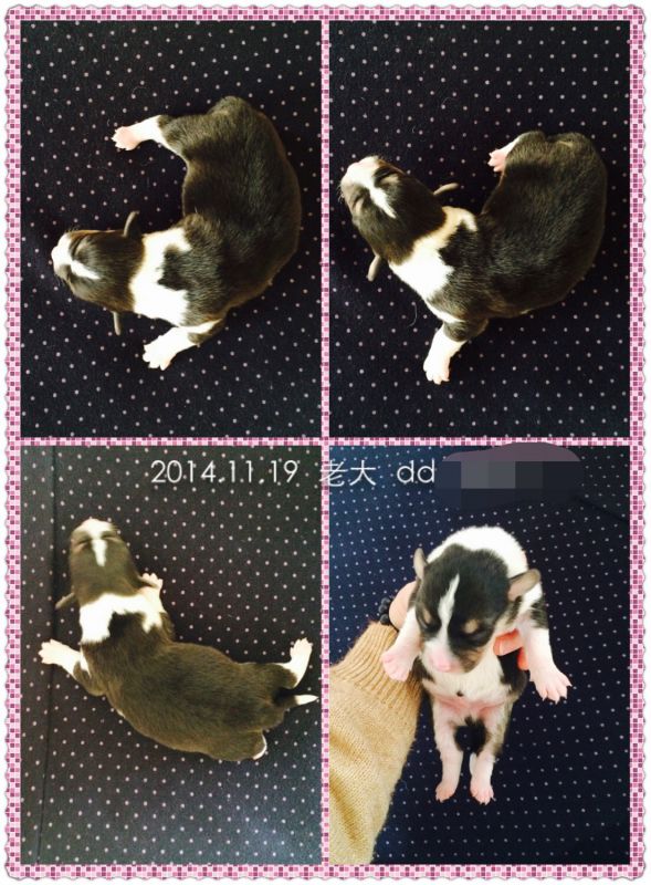 2014.11.19 老大 DD.jpg