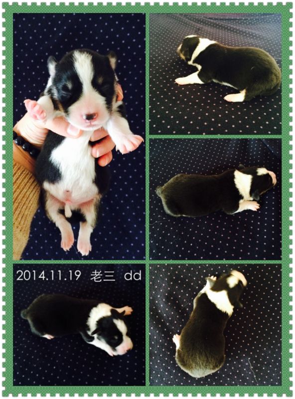 2014.11.19 老三 DD.jpg