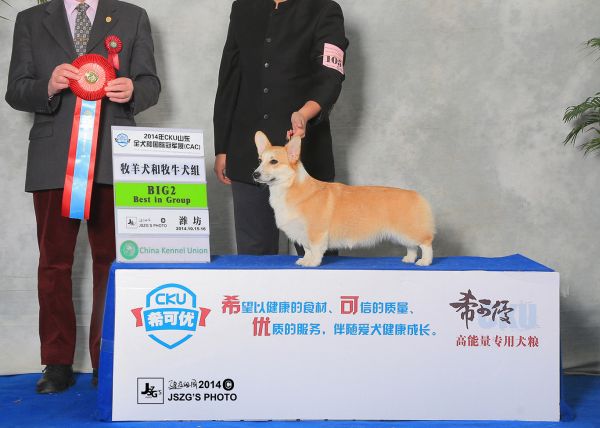 JS029848－1700_副本.jpg