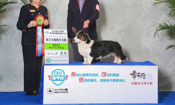JS020072－1700_副本.jpg