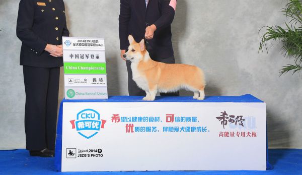 JS020073－1700_副本.jpg