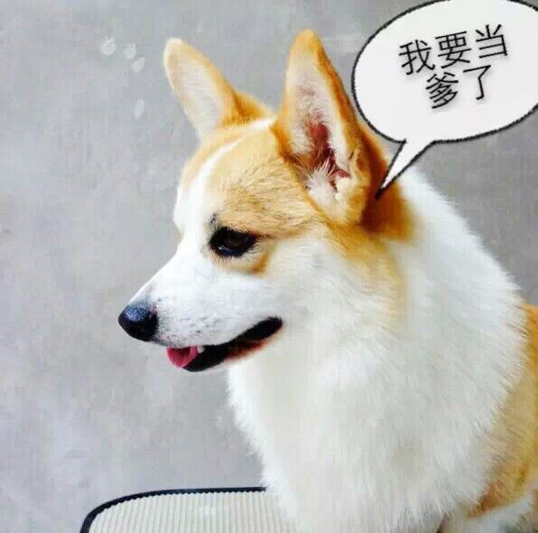 1416877062347.jpeg