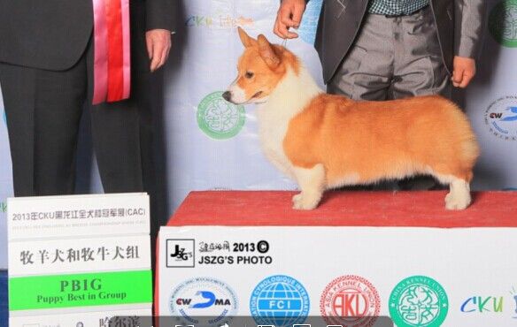 QQ图片20141020205219.jpg