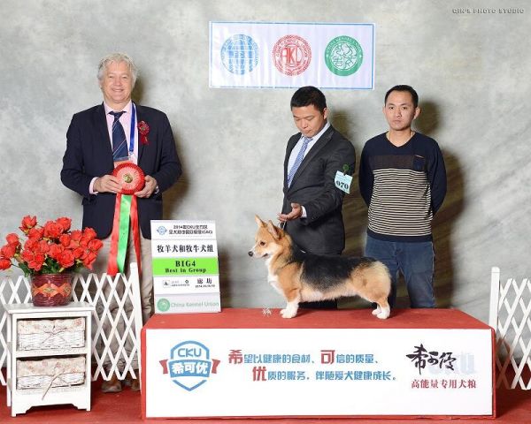 QQ图片20141022161526.jpg