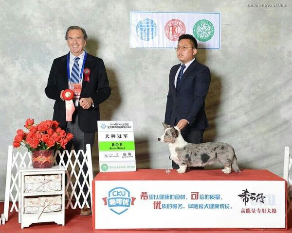 QQ图片20141023102724.jpg