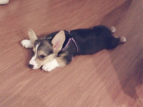 IMG_1496_meitu_2.jpg