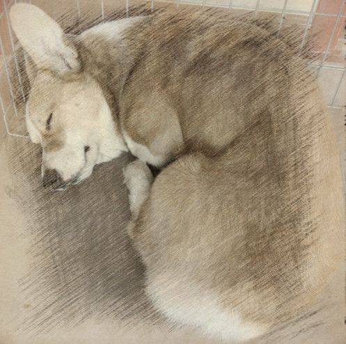 1022_1_副本.jpg