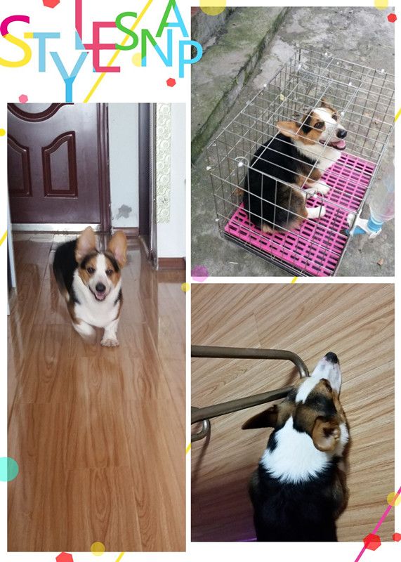 现在的他