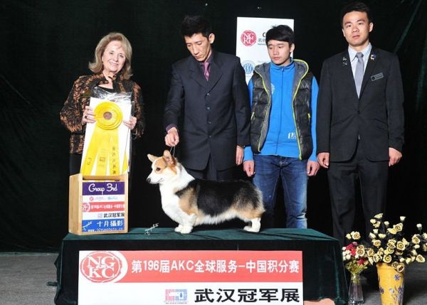 爸爸