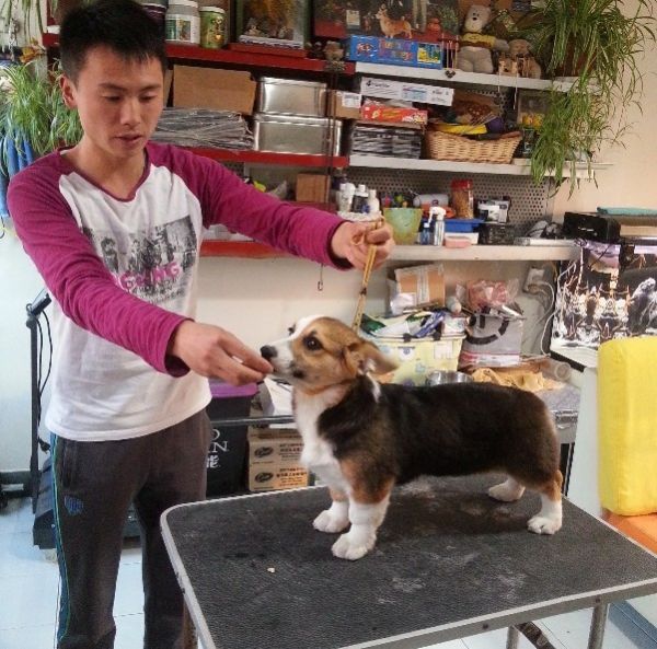 3月龄上绳.jpg