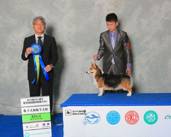 chengn 1.jpg