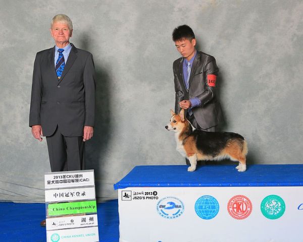 denglu.jpg