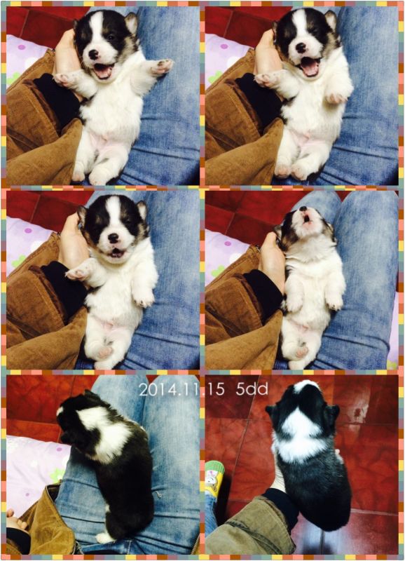 2014-12-06 175213.jpg