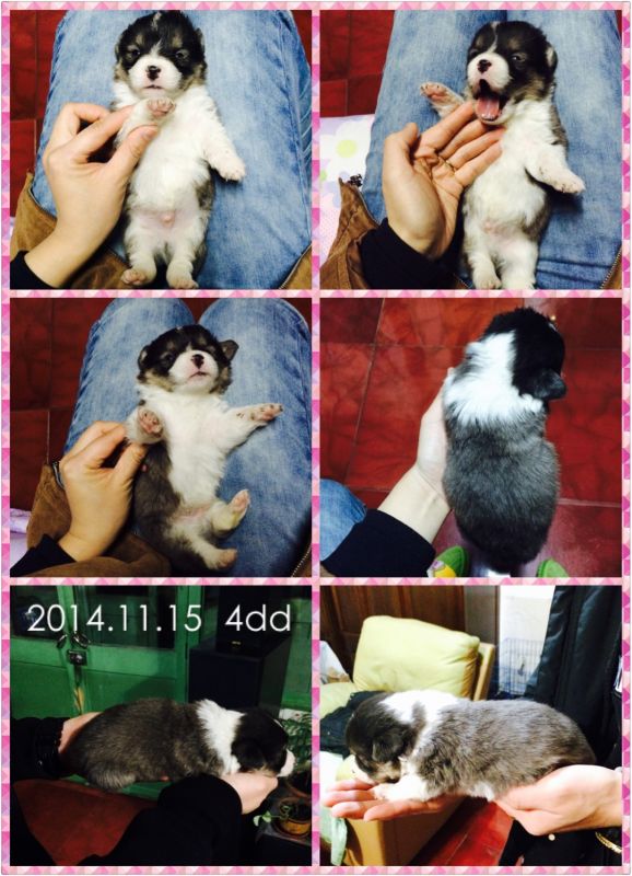 2014-12-06 181239.jpg